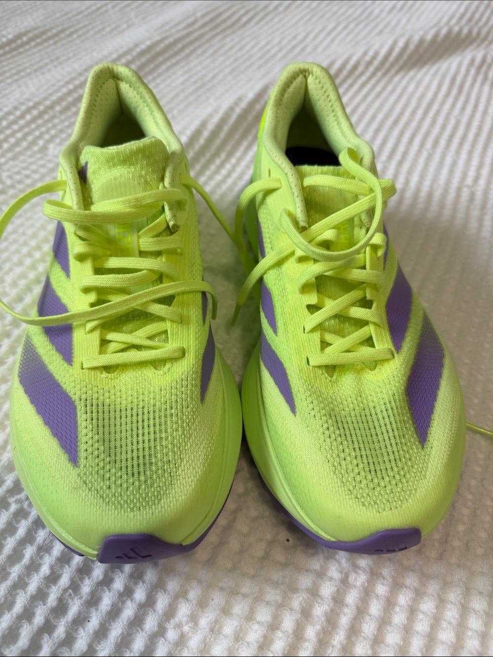 The adidas Adizero EVO SL in this specific Solar Yellow and Aurora Plum colorway